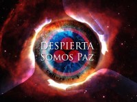 despierta somos paz