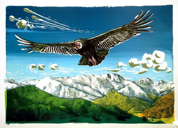 el vuelo del condor