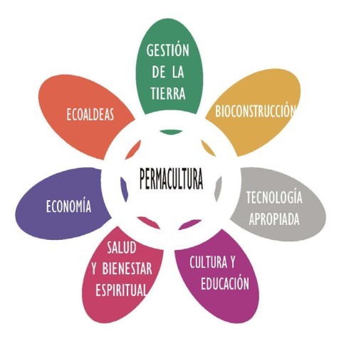 PETALOS-PERMACULTURA2