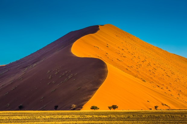 One of my reasons for going to Namibia has always been to see some of the most spectacular sand dunes in the world. Many of them are over 200m tall, with the tallest one being about 380m tall (it's sand...so it shifts and changes). Even though I'm not sure how tall this one is, it's tall enough to make those trees at the bottom look quite tiny in comparison. The color of the dune is a bit more orange/reddish due to the iron in the sand, and the iron oxidizing. Much more attractive dunes than those plain ones in the Gobi (no offense, Mongolia).