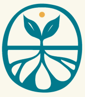 Primer café de Transición Virtual