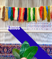 Nodo Shambhala avanza