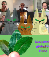 La rata de alcantarilla