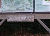 Belgique. Encore une foi.