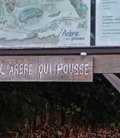 Belgique. Encore une foi.